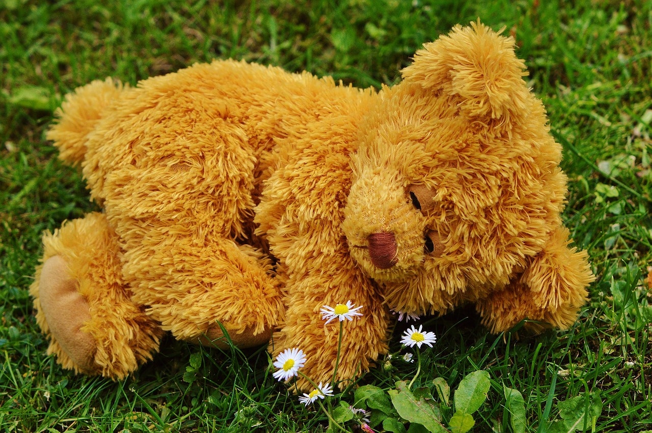 unusual soft toys