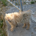 Sandy Lighthouse profile picture