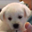 Shaine profile picture