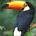 airkills profile picture