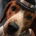 WSLegend profile picture