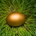 436349 profile picture