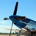 TopGun2 profile picture