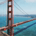 Cyclical Trade profile picture