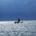 bay tracker profile picture