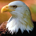 jlmanfred profile picture