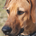 raykrv6a profile picture