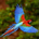 Diana_BR profile picture