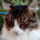 Jion profile picture
