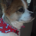 Purewater profile picture