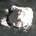 LI1 profile picture