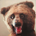 SquareBear profile picture