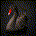 Youngtsen profile picture