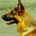 littlemoola profile picture