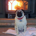 Day Trader001 profile picture
