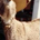 dbkemp05 profile picture