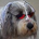 kimsky profile picture
