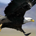 Humble Eagles profile picture