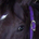 stocks321 profile picture