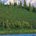 LostOkie51 profile picture