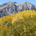 westelk profile picture