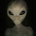 Oswellswan profile picture