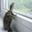 smallbedbug profile picture