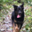 JAVAR profile picture