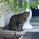 bobtis profile picture