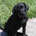 lester98 profile picture