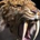 WMAC profile picture