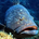 grouperman profile picture