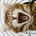 Mongo Lobo profile picture