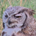 DonPaul Olshove profile picture