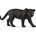 Panther Investments profile picture