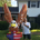 kevinl4 profile picture