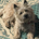 hhdash profile picture