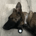 dashriprock2 profile picture