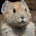frank paxman profile picture