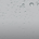 LongDividends profile picture