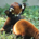 ItsPlaytime profile picture