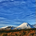 Tongariro Capital profile picture