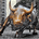 DividendRodeo profile picture