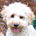 gjackoh profile picture