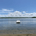 Williams Bay Analytics profile picture