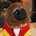 Haribo profile picture