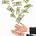 Dividend Seeker profile picture