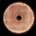 EV_supporter profile picture