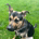 tssai98 profile picture