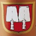 ceristeare profile picture